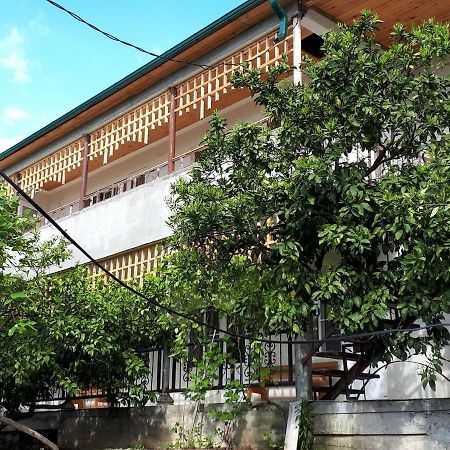 Inzhir Guest House New Athos Kültér fotó